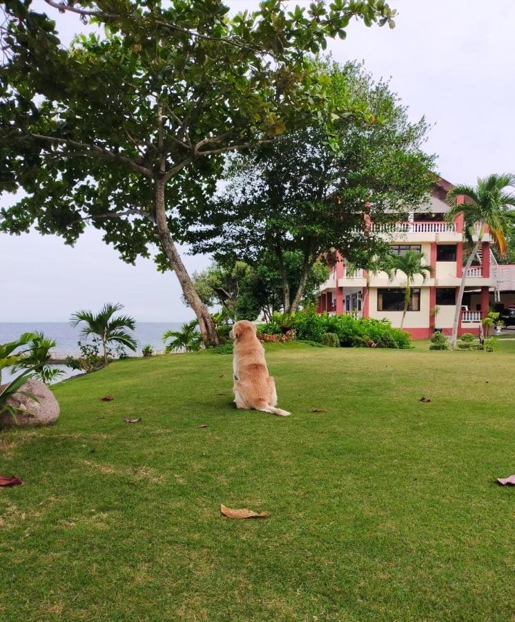 Wuthering Heights Bed & Breakfast By The Sea Ντουμαγκέτ Εξωτερικό φωτογραφία